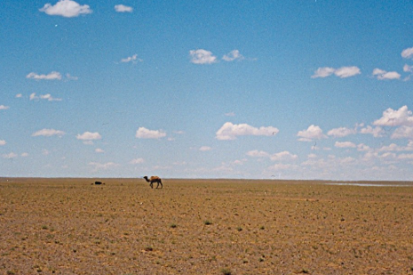 Mastering the Desert: Survival Strategies and the Mystery of Singing Dunes