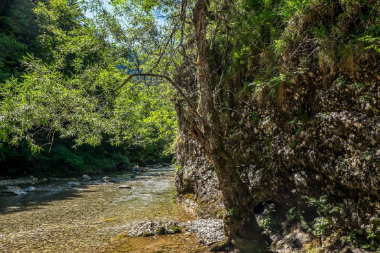 The Ultimate Day Trip from Ljubljana: A Guide to Slovenia’s Wonders