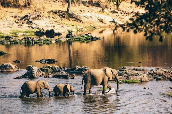 The Ultimate Guide to Exploring Tanzania: A Nature Lover’s Paradise