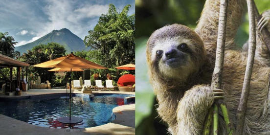 The Ultimate 7-Day Costa Rica Rainforest Adventure Guide