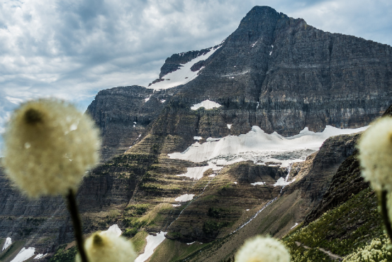 The Ultimate Guide to Snow Mountains: Geology, Wildlife, and Hiking