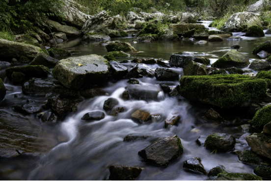 Forest Streams and Waterfalls: The Ultimate Guide to Nature’s Power and Life