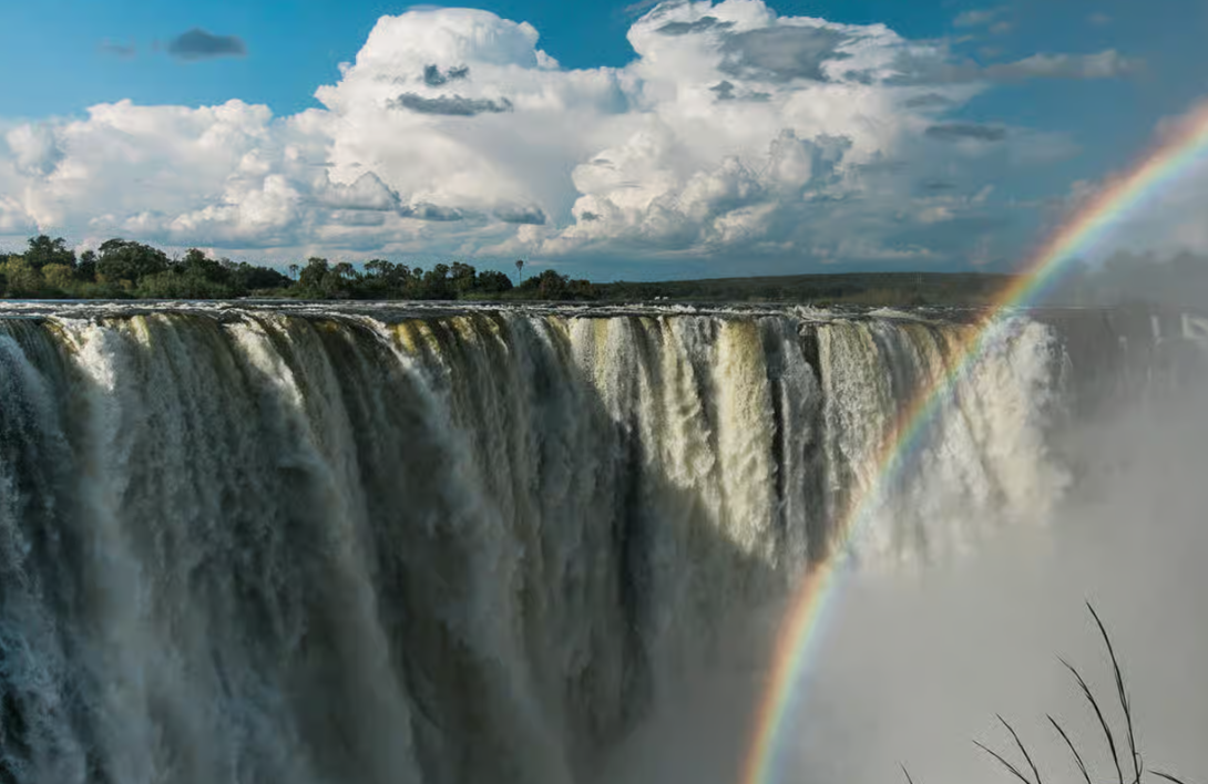 The Dynamic World of Waterfall Ecosystems: Biodiversity, Evolution, and Conservation
