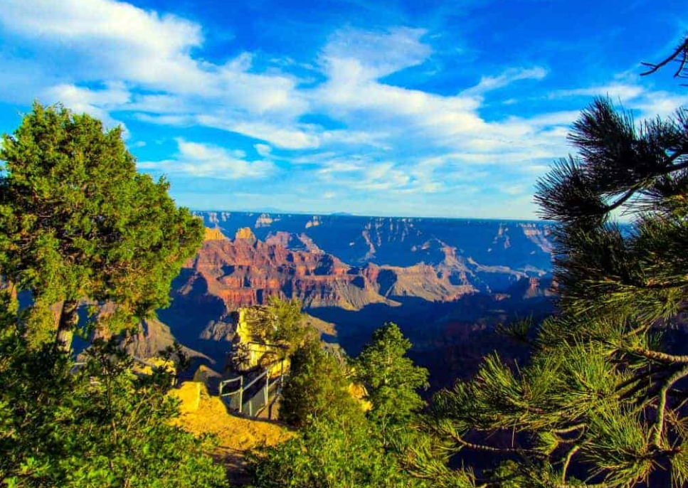 Grand Canyon’s Sky Island: The Isolated World of Kaibab Plateau