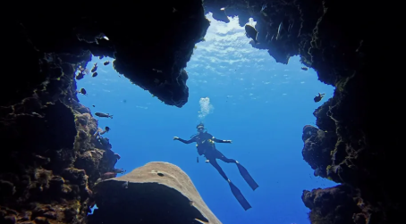 Ultimate Guide to the World’s Top Diving Paradises: Palau and the Great Barrier Reef