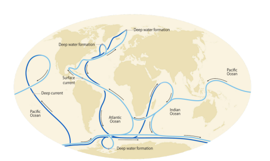 The Ultimate Guide to Island Ecosystems: Geology, Climate, and Evolution
