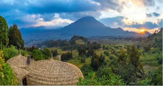 The Ultimate Guide to Volcanoes National Park, Rwanda
