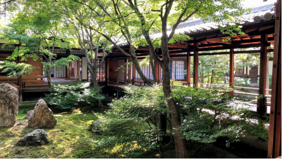 The Ultimate Guide to Kyoto’s Zen Temples for Mindfulness & Inner Peace